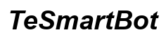 TeSmartBot